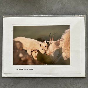 Mountain Goat Family Color Photography Vintage Photo Card Handmade in Alaska
